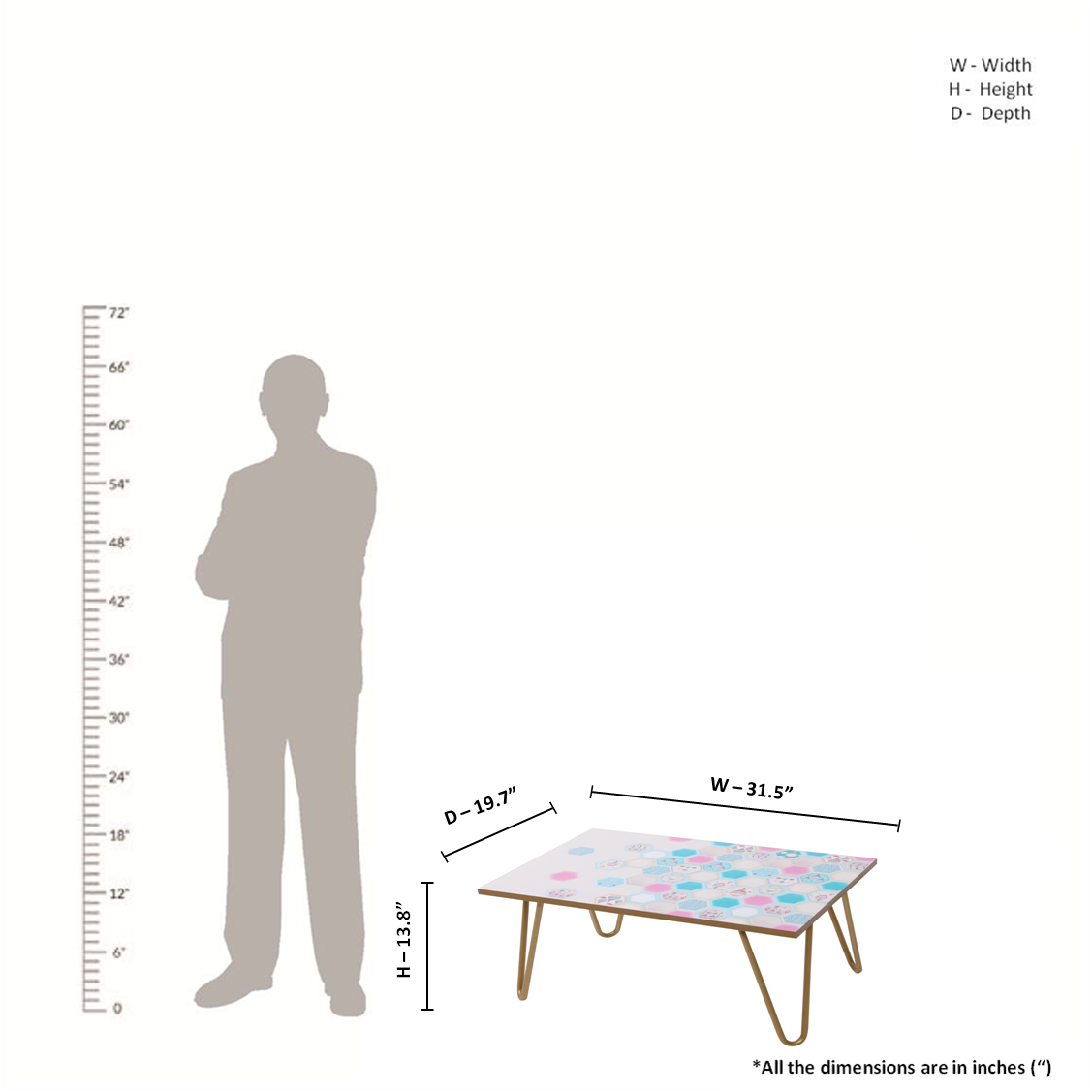 A Seashell’s Skyward Journey - Coffee Table