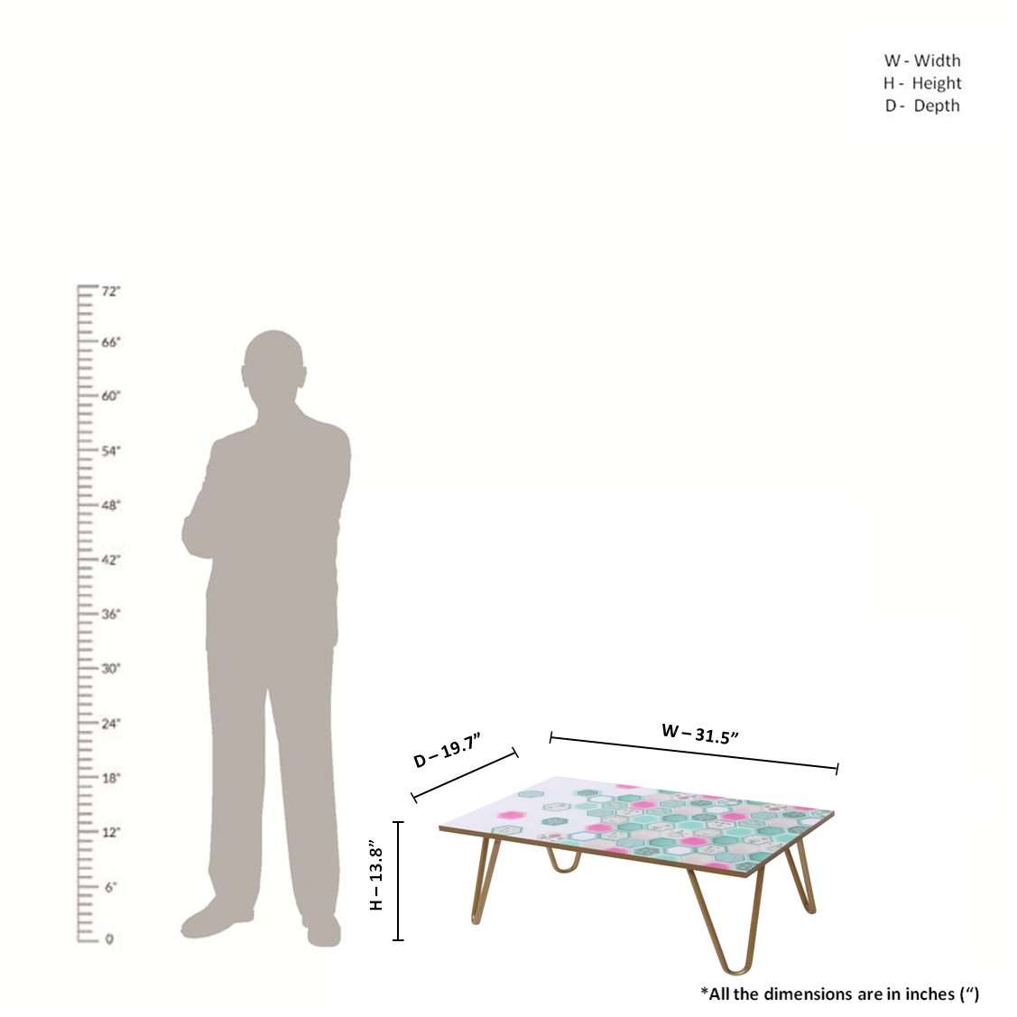A Seashell’s Skyward Journey - Coffee Table
